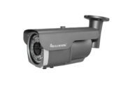Bullwark / BLW-2204IP-V
