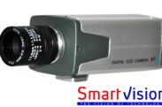 Smartvision Güvenlik Kamerası SV-201D