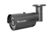 Bullwark / BLW-2303IP-V